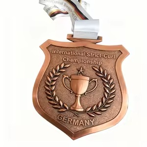 Bronze metal emblem badge with shield and leaf design